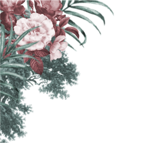 frame