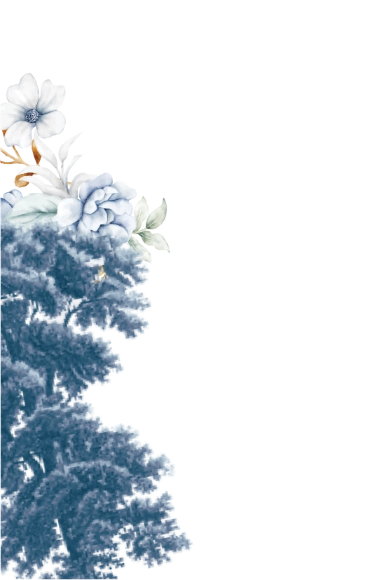 frame