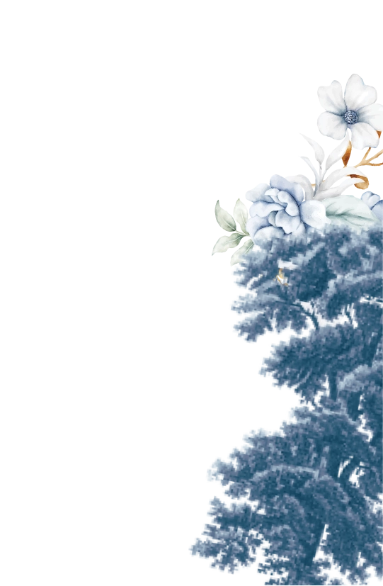 frame