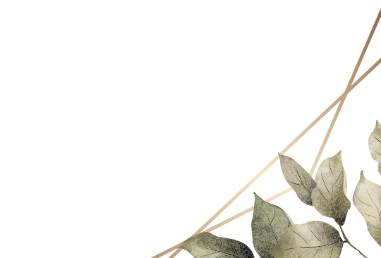 frame
