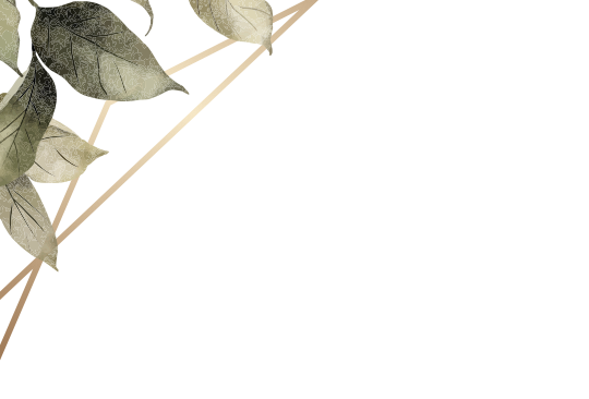 frame