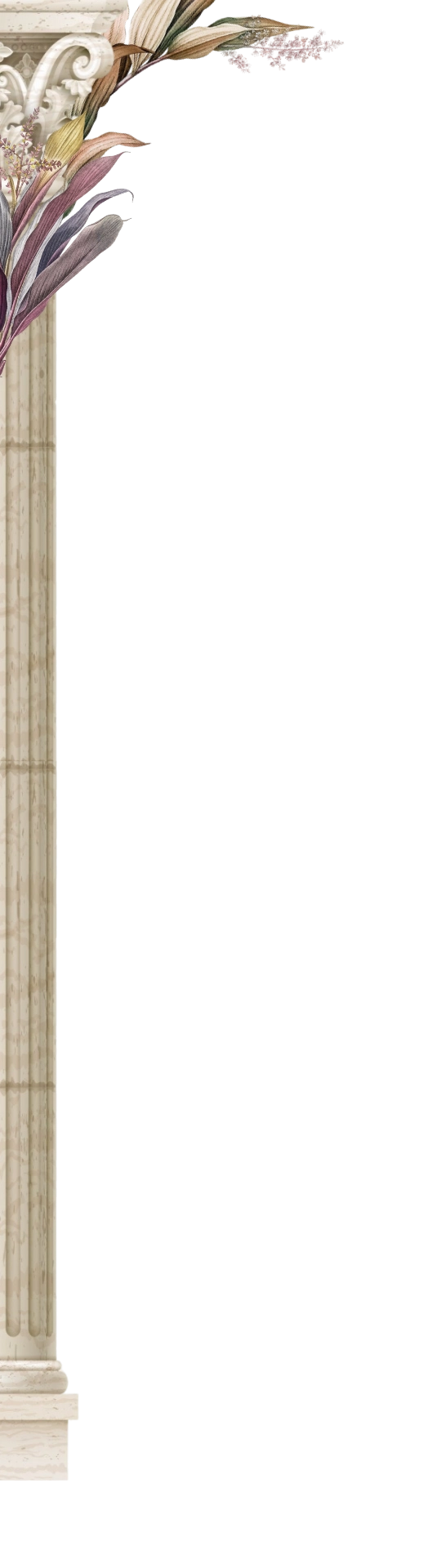 frame