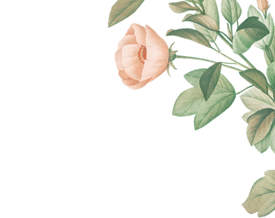 frame
