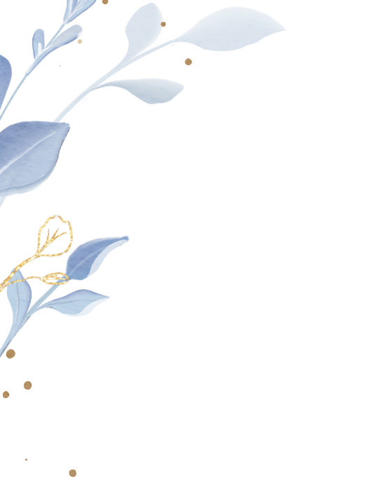 frame