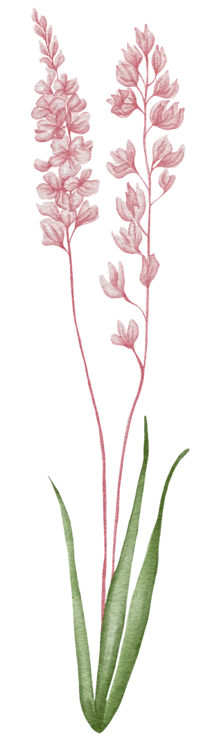 frame
