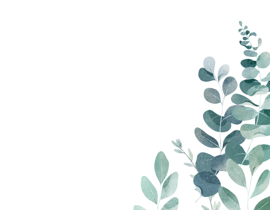 frame