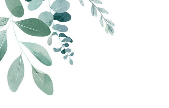 frame