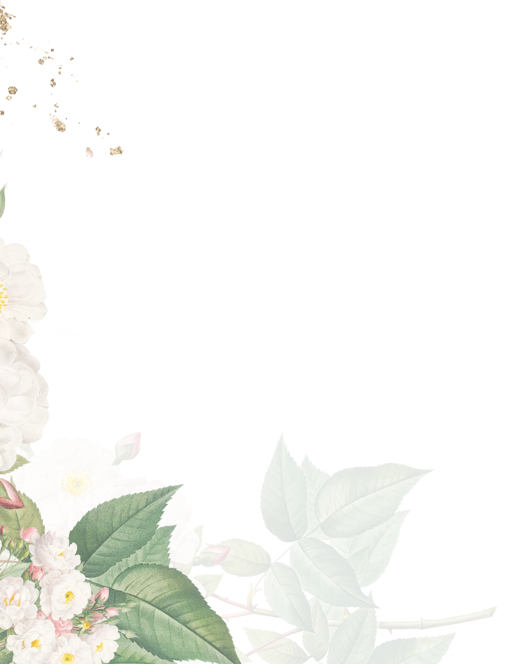 frame