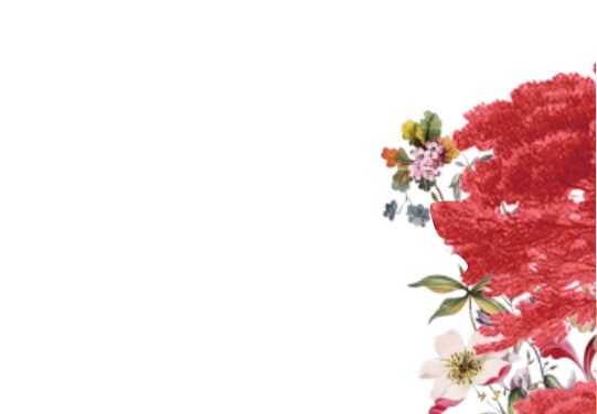 frame