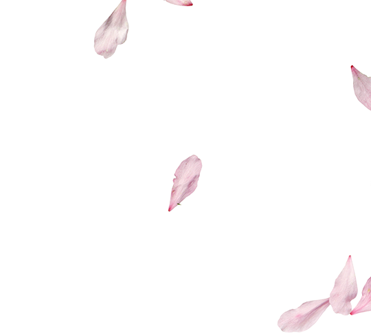 frame