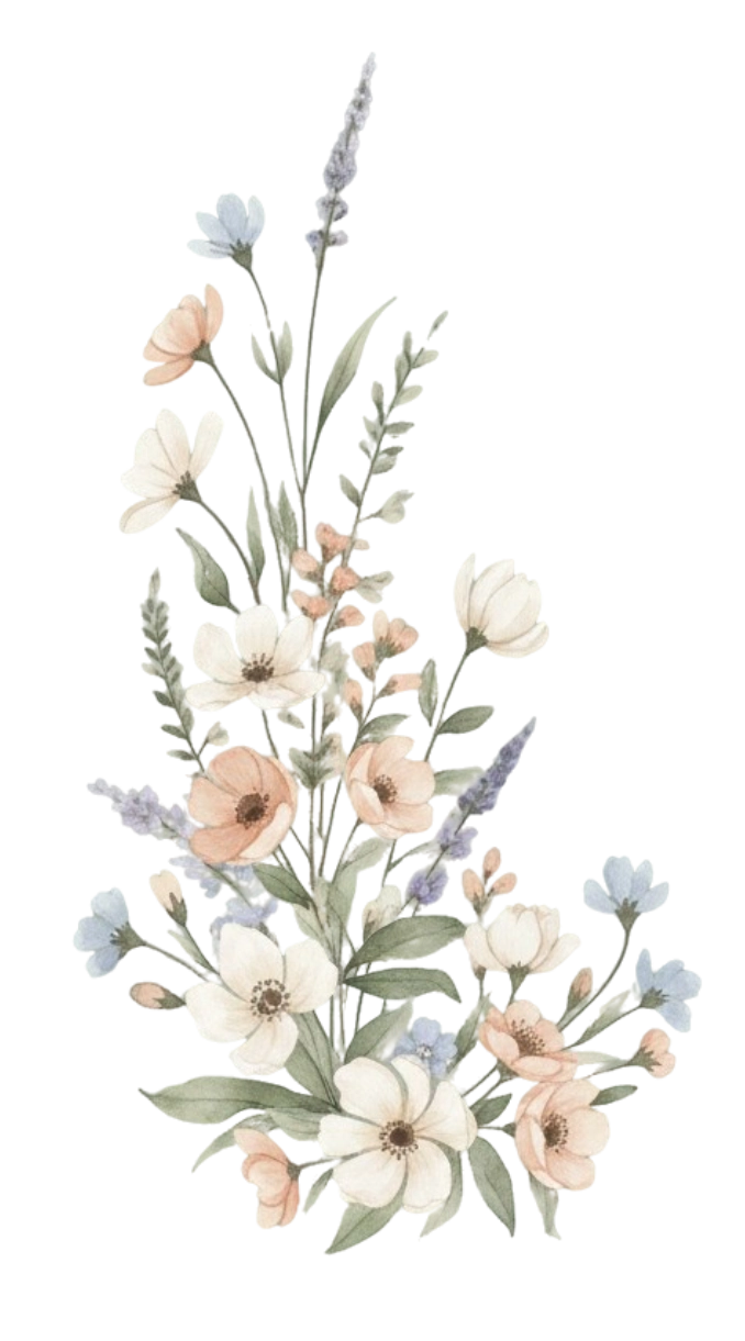 bl.webp