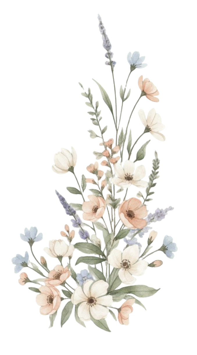 bl.webp
