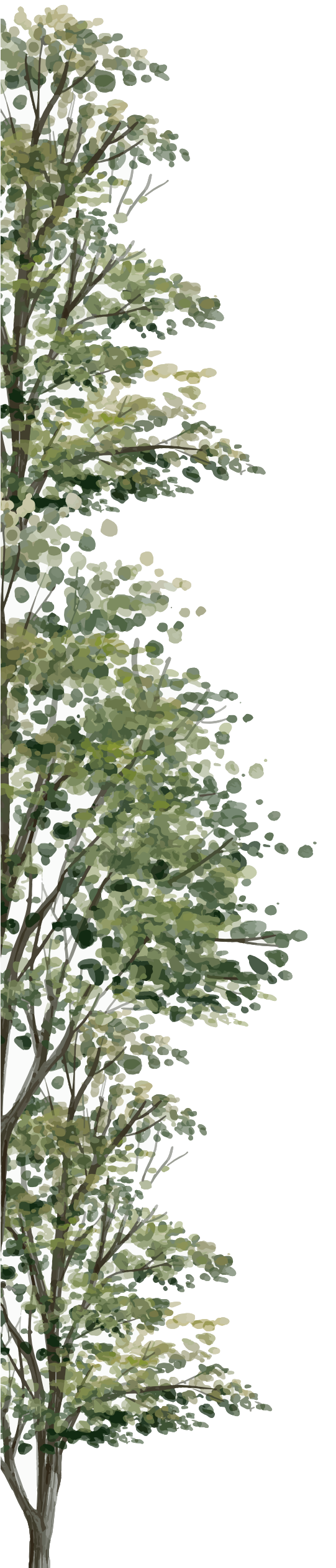 frame