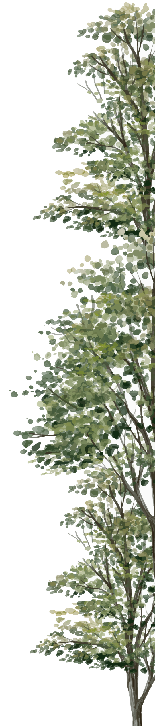 frame