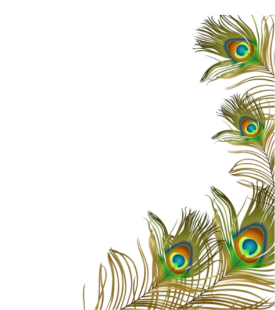 frame