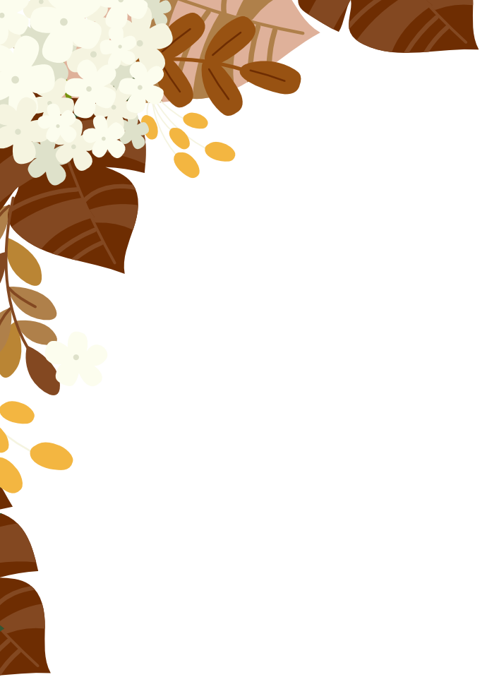 frame