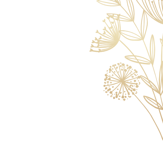 frame