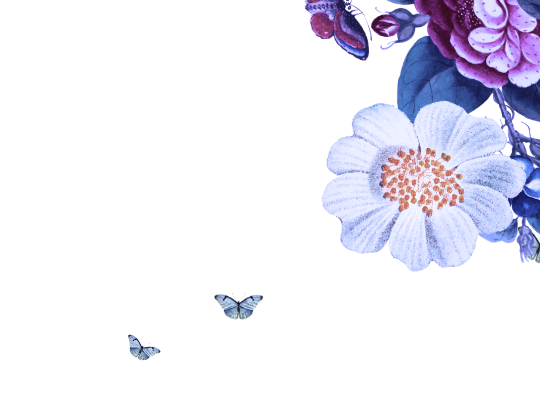 frame